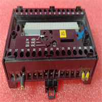 CS31 ABB