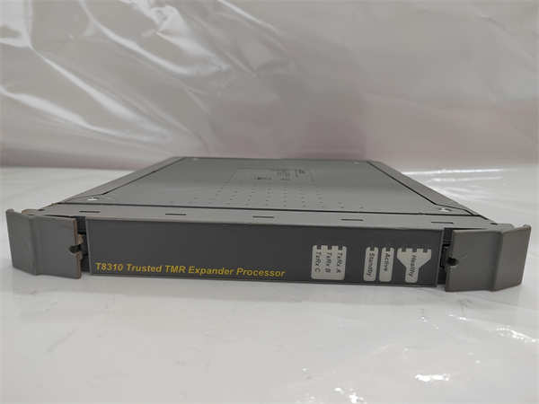 ICS TRIPLEX T8310