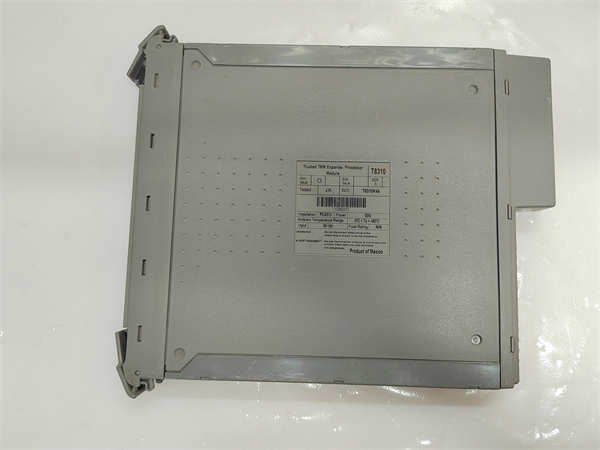 ICS TRIPLEX T8310